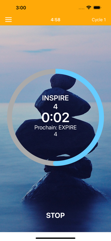 Capture d'écran 2 des Pranayama Breathing Yoga Timer